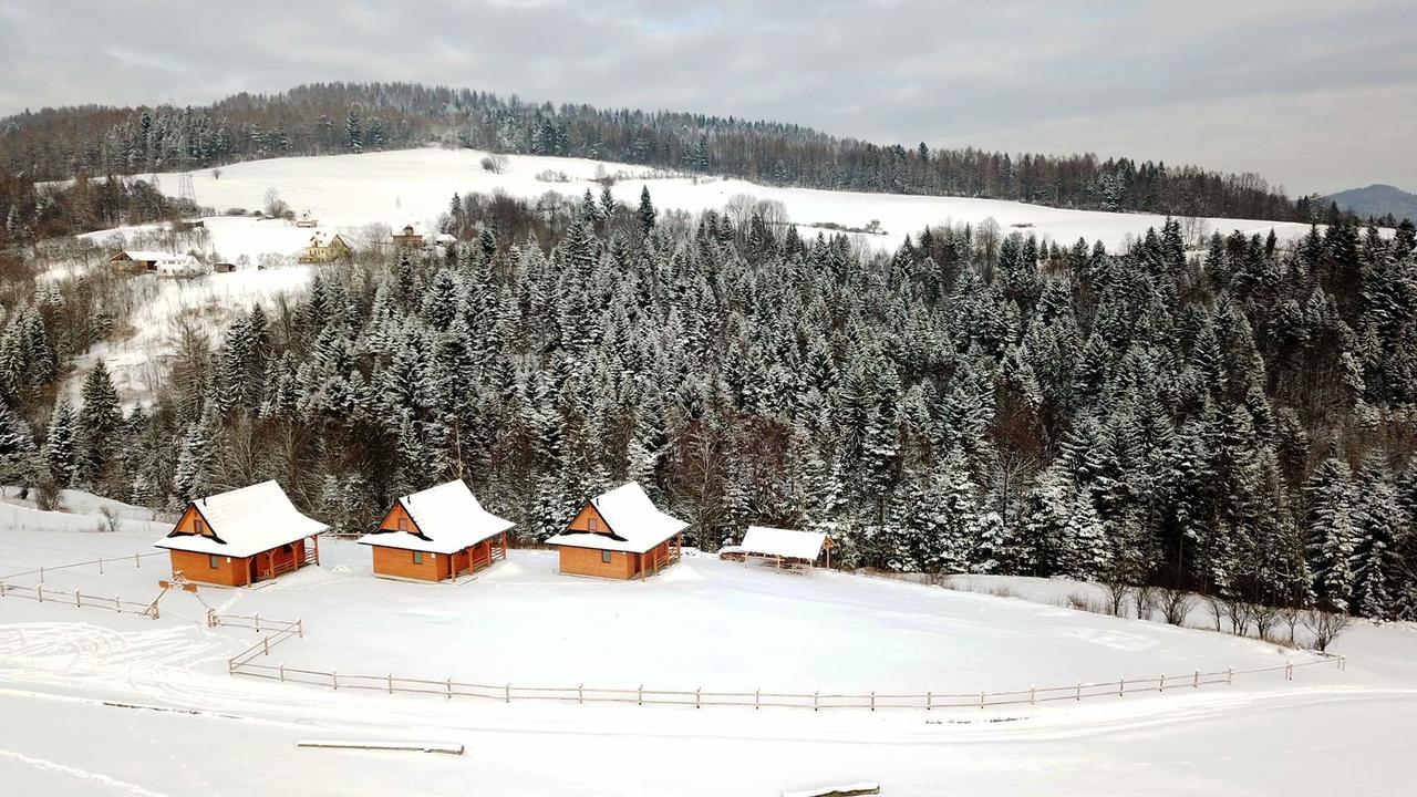 Chatki Niwki U Zboja Krościenko Extérieur photo